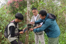 Camera Trap TNBBS Belum Berhasil  Deteksi Keberadaan Beruang Madu