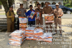 Perkuat Ketahanan Pangan, DKPP Pesbar Distribusikan  Sebanyak 6,4 Ton Benih Jagung