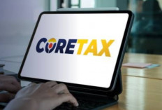 Sistem Coretax Bermasalah, BPK Lakukan Audit Mendalam