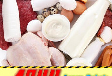 Ajak Masyarakat Konsumsi  Pangan Hewani ASUH