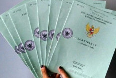 Cara Menghindari Sertifikat Ganda, Tips dan Trik Penting