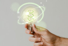 Pemerintah Tahan Kenaikan Tarif Listrik, Ini Dampaknya ke UMKM