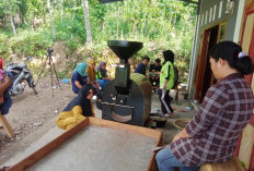 Dorong Kemajuan UMKM di Sektor Usaha Bubuk Kopi