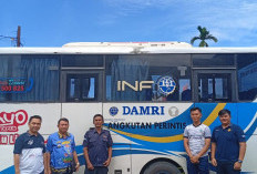 Damri Rute Liwa-Krui-Lemong Beroperasi, Harga Tiket Terjangkau