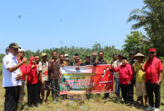 Hari Tani Nasional, Jajaran PDI Perjuangan Pesbar Turun ke Sawah