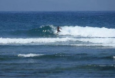Lombok Barat Siapkan Desert Point  sebagai Destinasi Selancar Nasional