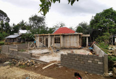 Yankes Terus Diperluas,  Bandarbaru Dapat Pustu