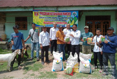 Pekon Banding Agung Bagikan Bantuan Ketahanan Pangan