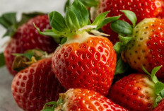 Strawberry, Inilah Kandungan Nutrisi dan Manfaatnya