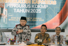 Pemkab Pesbar Gelar Pelatihan Peningkatan Kompetensi SDM Pengurus KDKMP