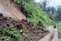 Cuaca Ekstrem,  Jalan Utama di Pekon  Bumiagung Longsor