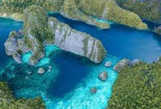 Raja Ampat: Keindahan yang Terganggu dan Kenangan yang Terlupakan