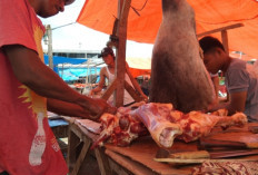 Harga Daging Sapi di Pasar Way Batu Masih Rp160 Ribu Per Kilogram