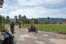 Jalan Provinsi di Suoh dan BNS Rusak Parah