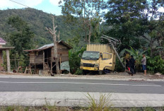 Kesulitan Menanjak, Truk Mundur dan Tabrak Tiang Listrik