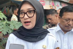 Wagub Jihan Nurlela Ajak Masyarakat Waspada DBD