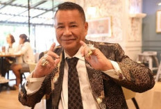 Hotman Paris Mundur dari Penasehat Hukum Paula Verhoeven