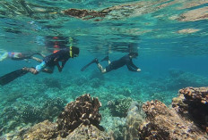 Pesona Snorkeling di Bunaken, Surga Bawah Laut Menakjubkan