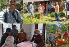 Diduga Dimangsa Binatang Buas, Petani Kopi di Airhitam Ditemukan Tinggal Kepala