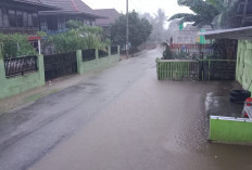 Atasi Genangan Air, Warga Pajarbulan Harapkan Pembangunan Drainase 