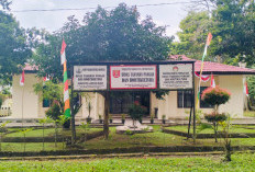 Produksi Padi Tembus 44 Ribu Ton