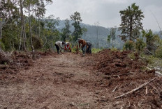 Negeri Ratu Buka Badan Jalan untuk Permudah Mobilitas Petani