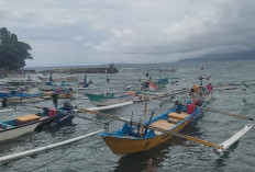 BPBD Pastikan Pesbar Masih  Aman dari Ancaman Banjir Rob