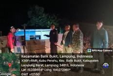 Datangi Lokasi, Petugas Informasikan Beruang Sudah Jauhi Pemukiman