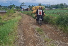 Jalan Rusak Hambat Aktivitas Ekonomi