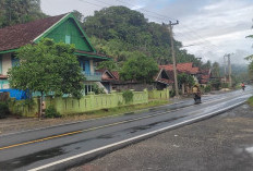 Jejak Kelam di Pekon Batu Raja:  Kisah Dibalik Penetapan Tersangka Pembunuhan 