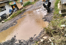 Jalan Kasui–Banjit Siap Diperbaiki