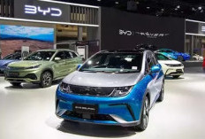 Setelah Menutup Puluhan Dealer di China, Ternyata BYD Kini Fokus di Afrika Selatan 