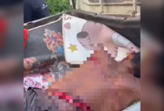 Video Warga Diserang Harimau Ternyata Hoax