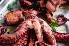 Kaum Pria Wajib Tahu!  Konsumsi Daging Gurita Bisa Meningkatkan Libido 