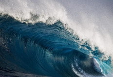 Megatsunami 200 Meter Terekam Satelit, Bikin Bumi Getar 9 Hari  Baca artikel CNN Indonesia 