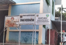 Hingga Maret, 39 Kasus DBD Terjadi  di Pesisir Barat 