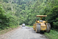 Perbaikan Jalan Liwa - BTS Sumsel  Senilai Rp5,2 Miliar Segera Dimulai 