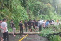 Jalan Liwa-Krui Rawan Bencana, Pengendara Diminta  Waspada saat Melintas