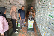 Sambangi Gudang Bulog Liwa, DKPP Pastikan Persiapan Penyaluran Bantuan Beras