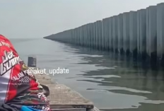 Tanggul di Laut Cilincing  Bukan Giant Sea Wall, Tapi Jadi Sorotan Publik