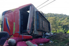 Bawa Penumpang dan Jengkol, Bus Sriwijaya Terbalik di Tanjakan Jabung