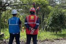 PLN Rayon Liwa Pastikan Insiden  Mobil Crane di Lemong Aman