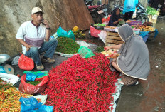 Jelang Nataru,  Harga Cabai di Lampung Barat Mulai Naik 