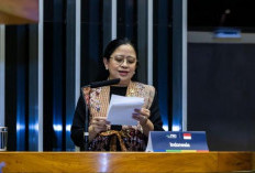 Puan Maharani Serukan Reformasi PBB Saat Berpidato di P20 Brasil   