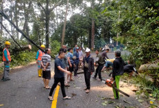 Masuki Musim Hujan, BPBD Imbau Pengguna Jalan Waspada Bencana di Jalan Liwa-Krui