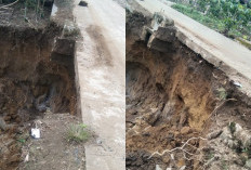 Bahu Jalan Way Seluang–Sidodadi Amblas