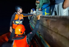 5 Penumpang Kapal Motor   Asal Bengkulu Dievakuasi 