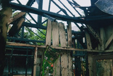 Diduga Korsleting Listrik, Rumah Kayu Milik Kusnan Warga Tugusari Terbakar 