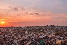 Strategi ‘Pulau Sampah’: Solusi Pengelolaan Limbah ala Singapura