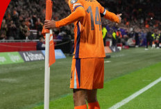 Belanda Lolos Piala Dunia 2026, Van Dijk dan De Ligt Jadi Pilar